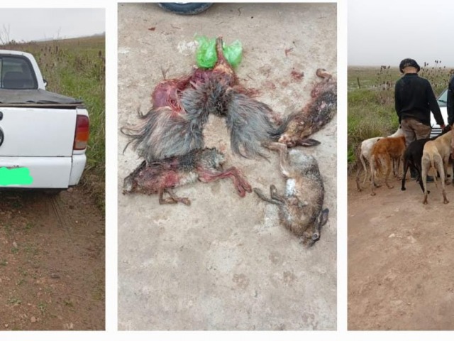 Tres jvenes sancionados por cazar con galgos